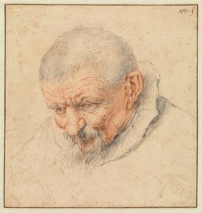 En gammal mans huvud av Cornelis Dusart