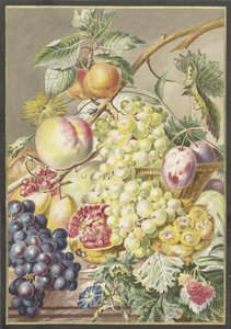 Fruktbit