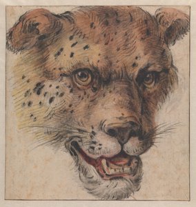  av Cornelis Saftleven