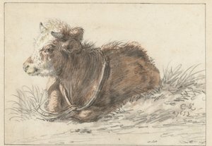 Liggande kalv, vänd åt vänster av Cornelis Saftleven