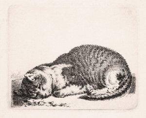 Sovande katt, c.1607-81 av Cornelis Saftleven