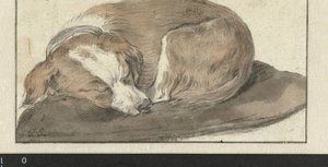 Sovande hund