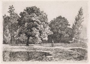 Landskap med träd, sjö och en kvinna Femte svit (serietitel) av Cornelis Steffelaar