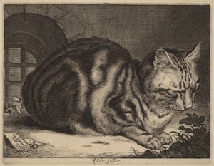 Den stora katten