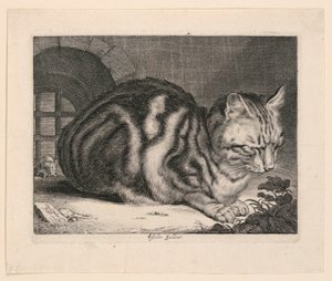 Den stora katten av Cornelis Visscher