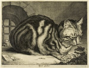 Den stora katten av Cornelis Visscher