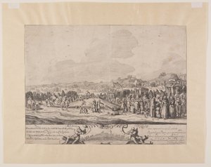 Cachalot strandad mellan Noordwijk och Zandvoort