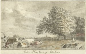 Kor på en äng utanför Haarlem, på Schooten (titel på objekt) av Cornelis van Noorde