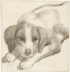 liggande hund