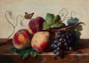 Stilleben av persikor och vindruvor på marmorbord med fjäril och andra insekter