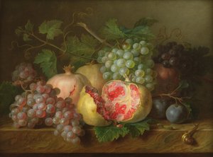 Stilleben av granatäpplen, vindruvor och plommon på en marmorkant (panel)