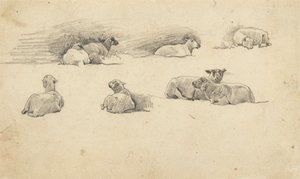 Studie av får av Cornelius Varley