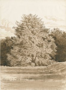 Wrottesley Hall - The Shrubbery: sepiateckning, 1820 av Cornelius Varley