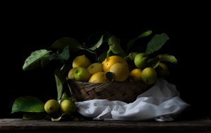 Rustik citronkorg av Corrado La Licata