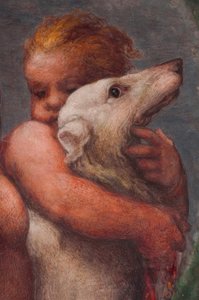 Parma, Camera di San Paolo, Putto av Antonio da Correggio