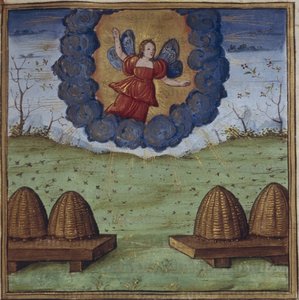 Illustration för georgikerna av Vergilius, 1450-1499