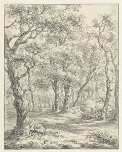 skogslandskap av Couwenhoven