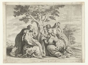Adonis födelse Metamorphoses of Ovid (serietitel) av Crispijn van de Passe (II) (workshop of)