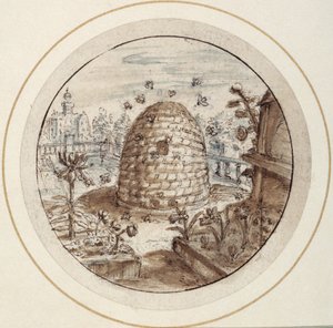 Bikupa, tidigt 1600-tal (penna och brunt bläck med bruna och grå tvättar)