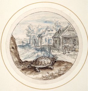 Sköldpadda, tidigt 1600-tal (penna och brunt bläck med bruna och blå tvättar)