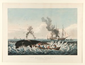 Valfisket:/ Att attackera en kaskelot av Currier and Ives