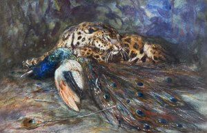 Jaguar med påfågel