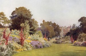 A Glade off the Lawn, Sandringham (färg litho)