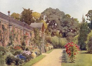 Crimson Ramblers på Osborne (färg litho) av Cyril Ward