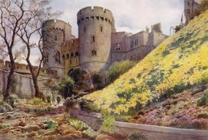 Påskliljor på kullen nedanför Round Tower, Windsor Castle (färg litho)