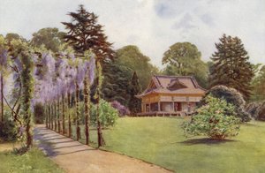 Det japanska huset och Wistaria Pergola, Bagshot Park (färg litho)