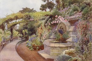 Rosornas tid, Fountain Terrace, Norman Tower Garden (färg litho)
