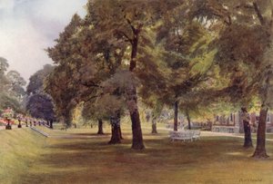 Träd på gräsmattan vid Marlborough House (färg litho)