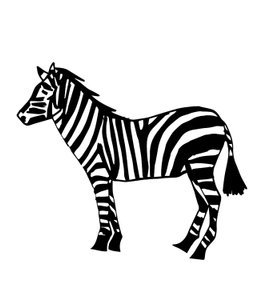 Zebra, 2024 (blandteknik)