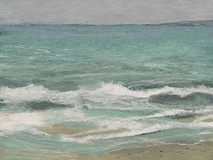 Vågorna vid östra stranden av Dan Hobday