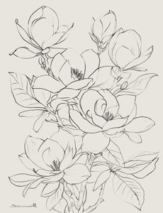 Magnoliaträd av Dan Hobday