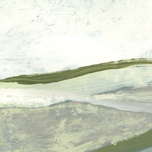 Visa 2