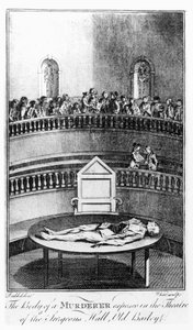 The Body of a Murderer Exposed in the Theatre of the Surgeons