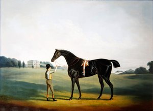 En häst och brudgum på tomten till Hooton Hall, Cheshire