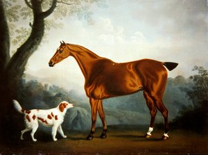 Bay jägare och spaniel i ett skogslandskap
