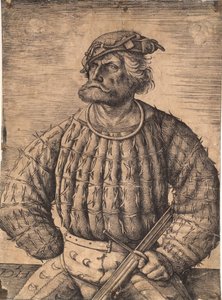 Kunz von der Rosen, kejser Maximilians hofnar
