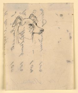 Teckning, hundhuvud, troligen Milo (en pointer), ca 1862 av Daniel Huntington