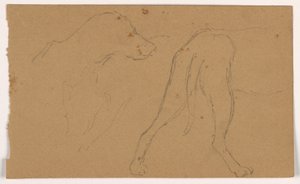 Teckning, Milo (en pointer), huvud och kropp, ca 1862 av Daniel Huntington