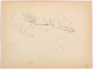Teckning, Milo (en pointer), två studier, ca 1862 av Daniel Huntington