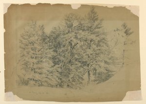 Studie av träd, North Conway, New Hampshire av Daniel Huntington