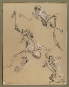 Studie av skelett, 1848 (krita på papper)