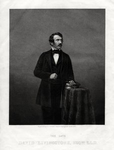David Livingstone, skotsk missionär och afrikansk upptäcktsresande, 1880