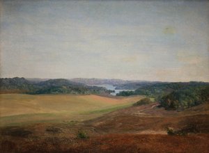 Landskap nära Silkeborg, Jylland