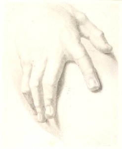 Studie av hand