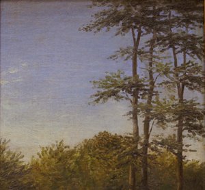 Studie av undervegetation och höga träd, Fyn av Dankvart Dreyer