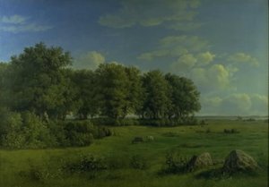 Ön Brandsø med Wedellsborgskogen, Fyn, i fjärran